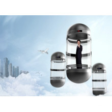 Зихер 1000кг стеклянный панорамный Лифт